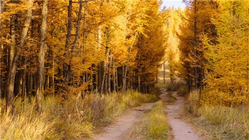 两千块也能玩出小众新天地?带你深度体验秋天最美神秘大草原