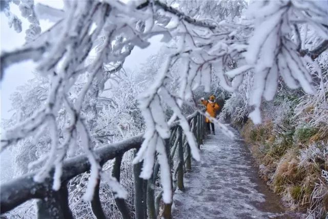 雪后的张家界，银装素裹，如临仙境！