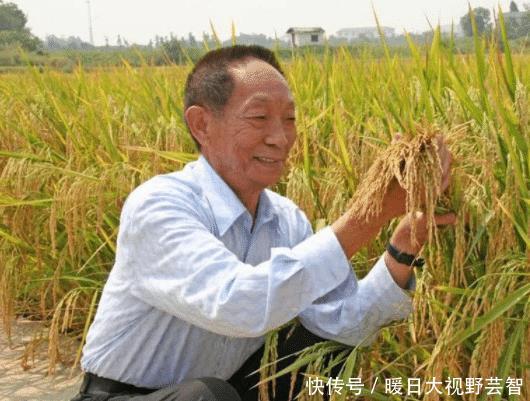  [非洲]寸草不生的非洲，为什么中国人能把水稻种的这么好？感叹