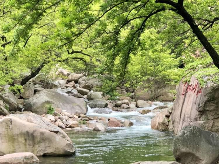  [九水]雨后的九水瀑布飞流直下 九水游览区进入全年最佳观赏期