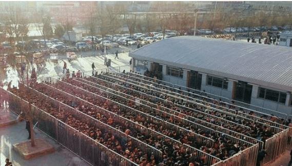  出门@亚洲最大的住宅区, 一天60万人出门, 规模堪比小城市, 就在