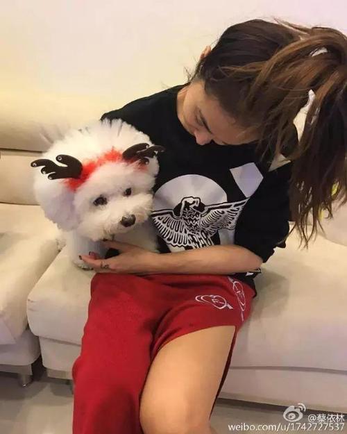 蔡依林穿开叉裙，白百何穿开叉裤，露腿才时髦啊！