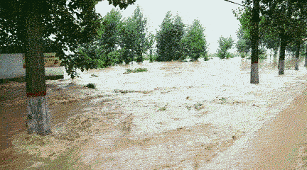 河北再发暴雨预警！多地“看海”，防汛应急响应启动