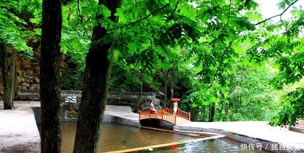 河南深藏一处原生态森林,景美人少山清水秀,国庆长假游玩有优惠