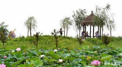 陕西省的一个县级市,堪称“陕西非能源第一县”