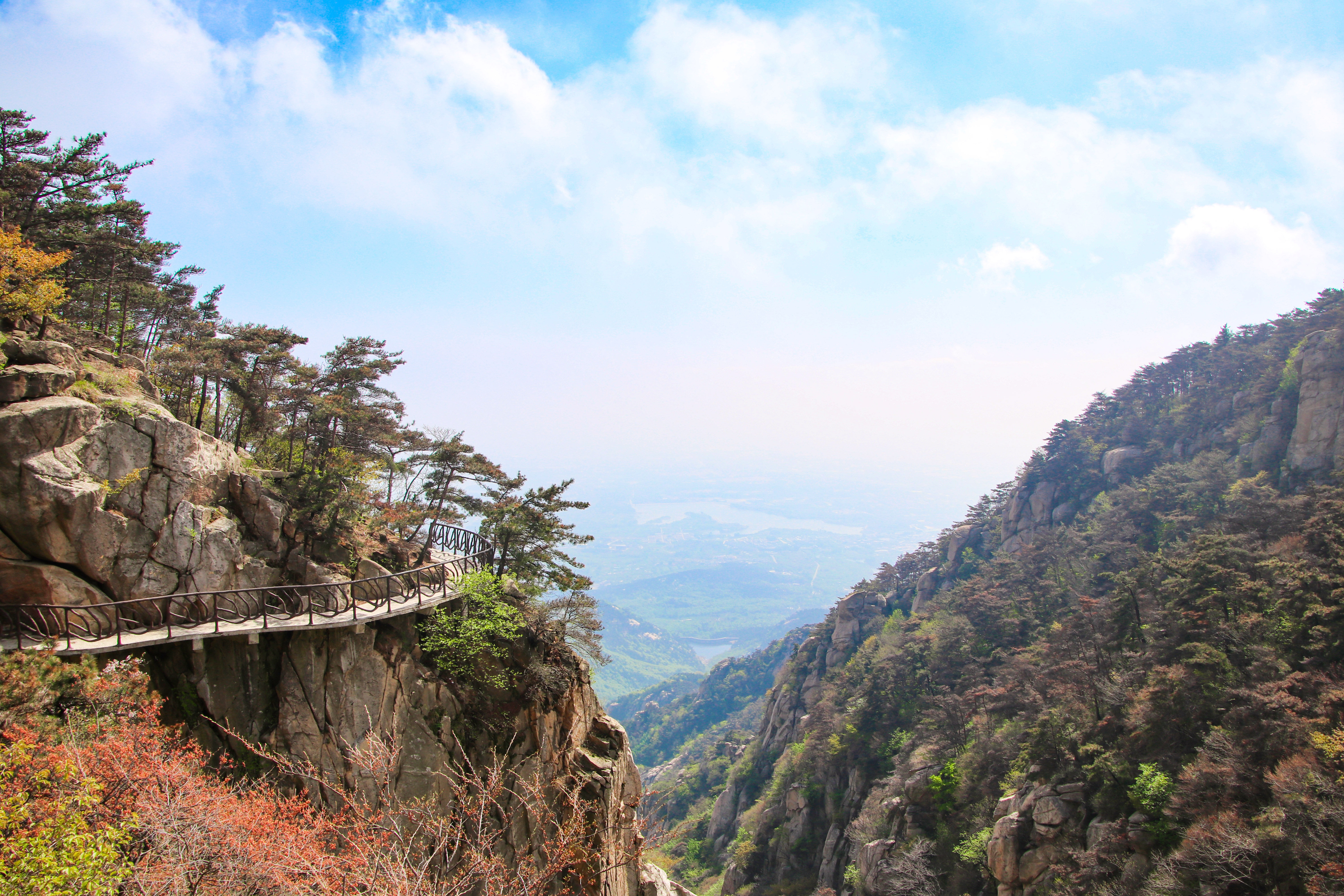 来沂蒙山，我“养”你啊