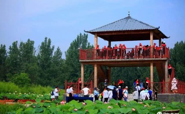 来了！山东这条“最牛”高铁下月通车！坐上它去这些地方“打卡”