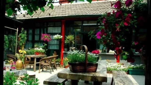  #庭院#园艺——北京四合院