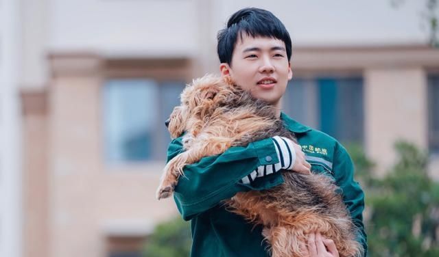 电影宠爱的票房现在是多少