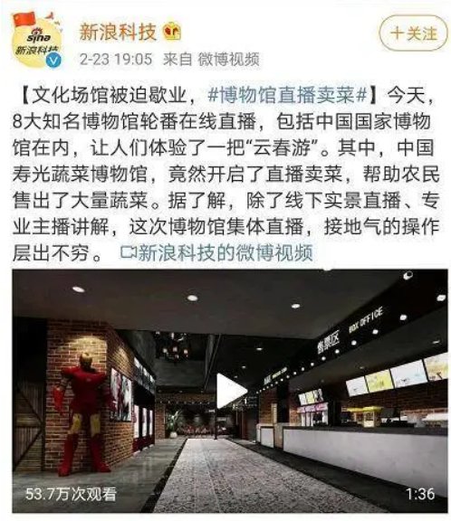  山东的蔬：浩克山东丨山东“巨型食物”之谜