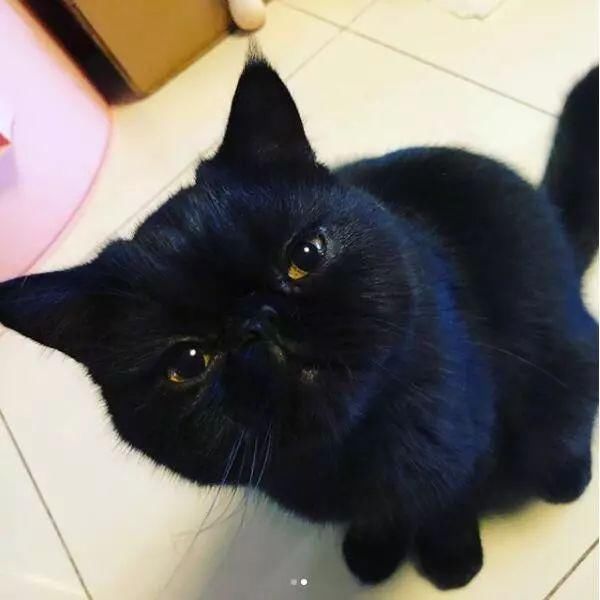 关晓彤怎么了？情侣戒指手表都不戴，网友：别祸害其他人！