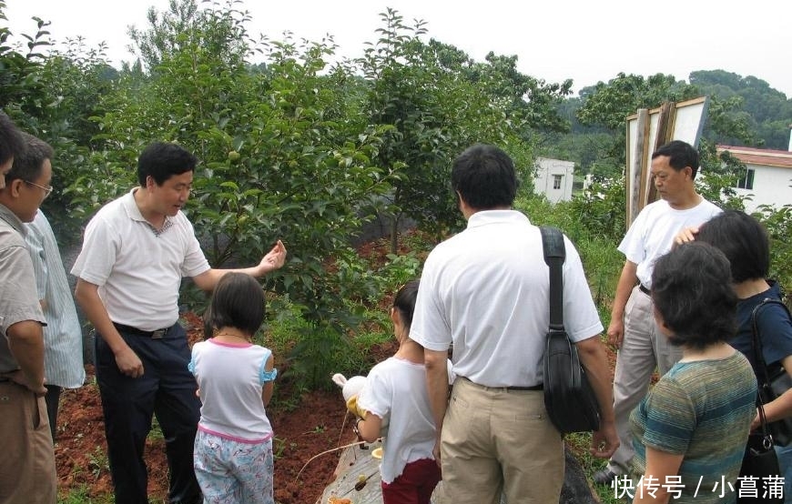 农村的3个骗局，多少钱都不够赔的，就算是停工了，农民也别干！