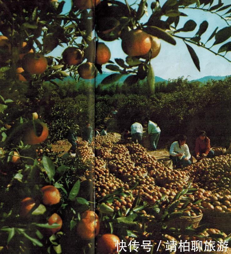  「绿城」老照片： 1978年广西南宁名副其实的绿城