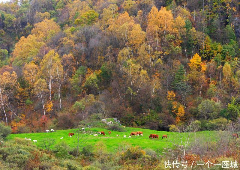 秦岭深处的这座小城，满足了我对秋天所有的幻想