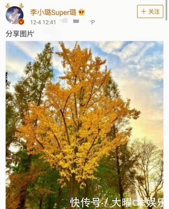 贾乃亮李小璐宣布