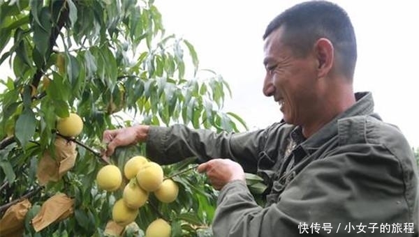 安陆世外桃源采摘园一日游怎么玩?安陆世外桃源采摘园一日游攻略