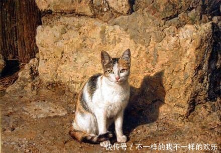 你站在窗外看风景,看风景的猫在窗外看你