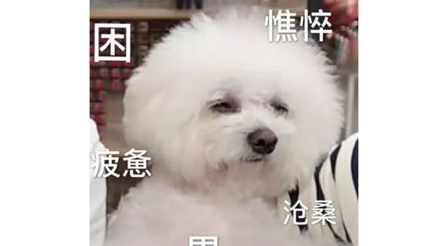  [色号]YSL人鱼姬去哪儿了？“历史”洪流中的网红彩妆篇
