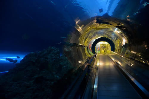 【计划】中国再次登顶世界之最，计划建造世界最大水底隧道，超