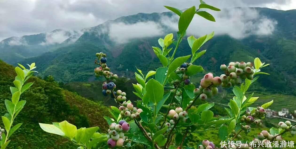 最适合划给广东的4个县, 湖南占一个, 江西占三个