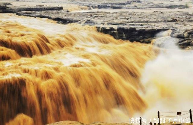 为什么黄河水这么浑浊，里面却生存着大量鲤鱼看完你就明白了