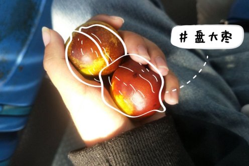  山东的蔬：浩克山东丨山东“巨型食物”之谜