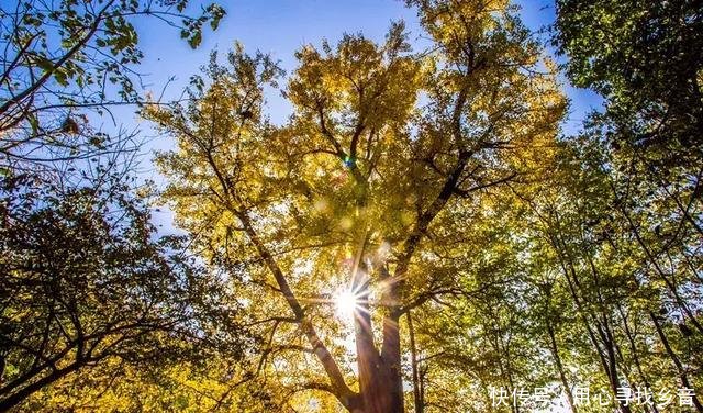 被称为山高县,版图河南第四大,洛阳这个县居然这么美