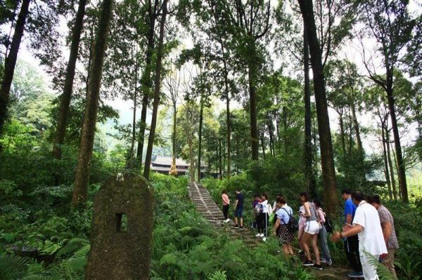 盛夏酷热难耐 去峨眉山避暑享清凉