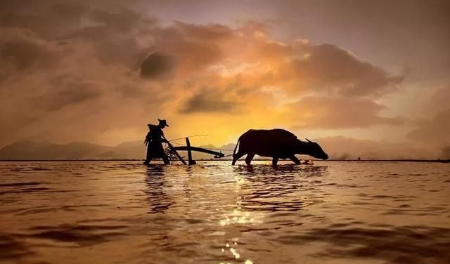 如何摄影如何摄影