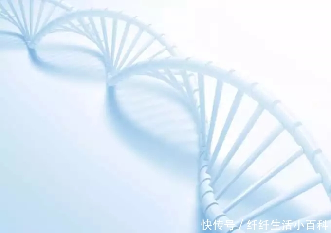  【百科】瘦百科18小黑盒：口罩也遮不住的眼纹该拿它怎么办？