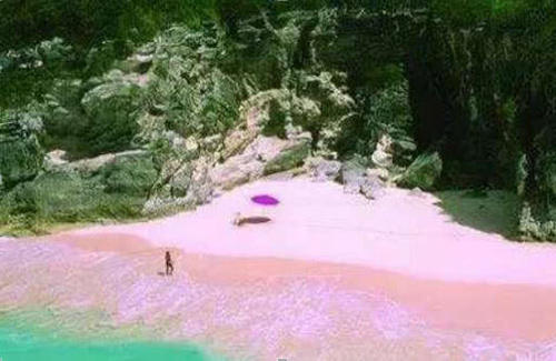 世界上最性感的海滩吸引了许多少女的心，巴哈马粉红色海滩