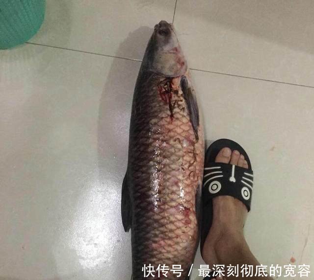 水位下降，水库底下古建筑露出，钓鱼人猜测是藏宝洞