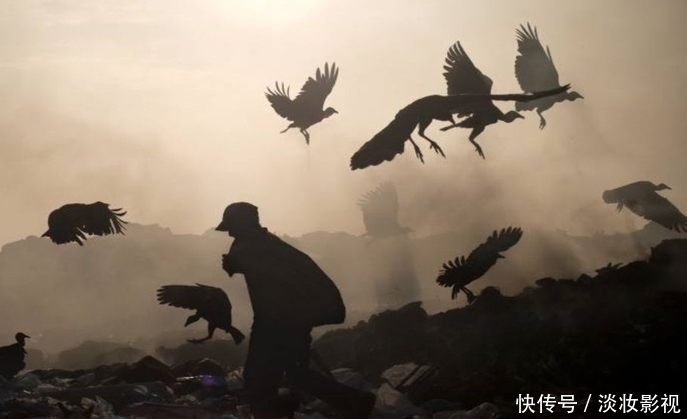 「垃圾场」印度最大的垃圾场，生活着比人还大的巨鸟，贫民宁捡垃圾也不吃