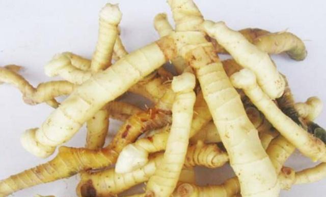 农村深山有这么一种珍贵的野草，药用价值非常高，你们见过吗？