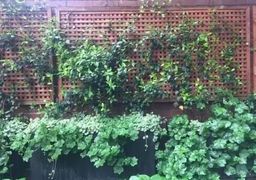 #小别墅#48㎡奇葩小户型,男主不仅整了小院,还设计出2室小别墅的既视感