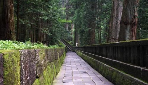 日本人都盛赞的日光绝景，究竟有多美？没来过就等于白去了日本