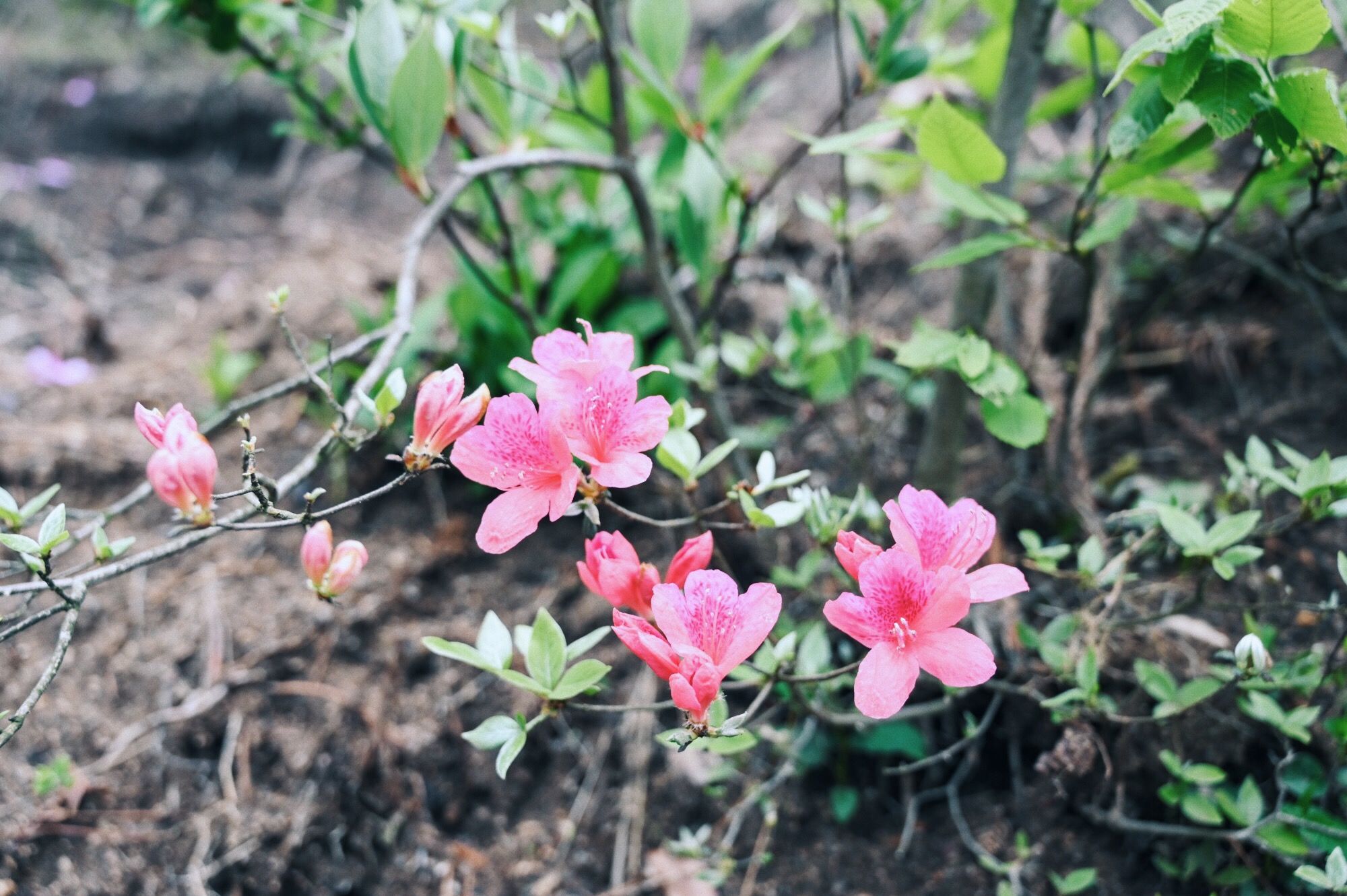 走进北纬30°的天柱山，一处风光秀丽又神秘的地方
