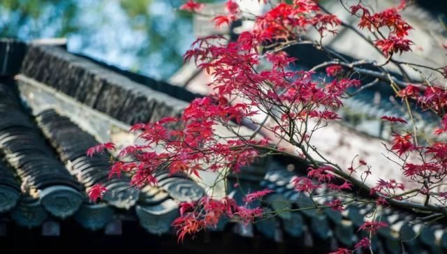 比成都安逸，比苏杭秀美，倦了就去小住几天