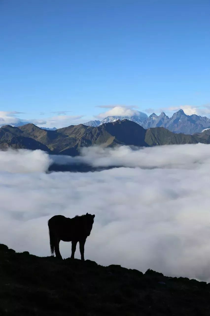 四川这座小城，叫板稻城亚丁，不输江南，藏着亚洲第一云海，高铁