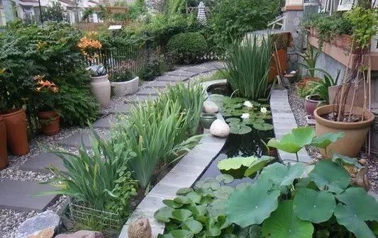  「小院」理想中的乡村小院