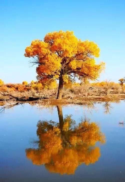 这20个世界罕见奇观都在中国 去过算白赚！