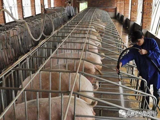 2019年，国家出手彻底严查农村4类违法乱象，农民朋友要注意！