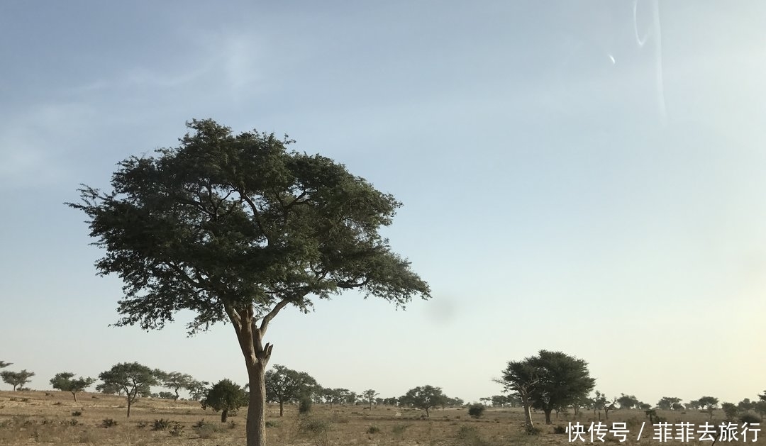 韩国成首个“0”出生率国,最高国却在非洲,三毛笔下最文艺