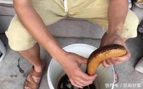 「老家」老家钓黄鳝的人很多,关键要知道怎么找洞