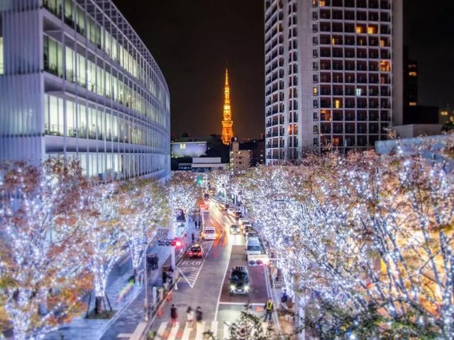 日本有钱人的家里是怎么样的