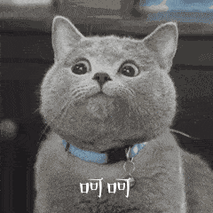 日本年轻人蜜月的首选之地，好多中国人还不知道