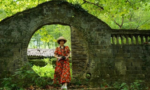 寻找深山藏宝图，养蜂老人独守林区，甜蜜的背后是孤独