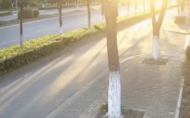  下雨|每日易起:每当下雨的时候 还是觉得有辆车真好!