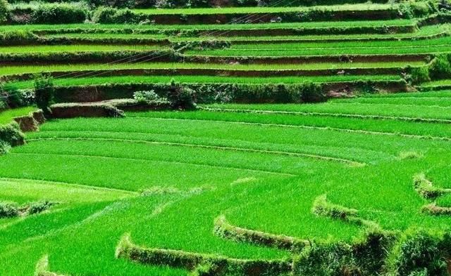 广西私藏的仙境小城，美景不输桂林却没什么名气，年平均气温19℃