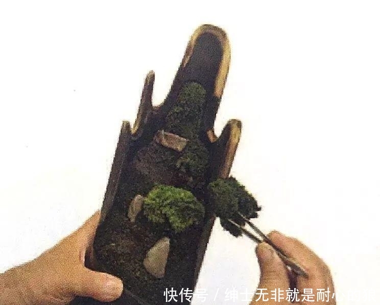 『苔藓』一竹一苔一盆景, “拥入怀中, 成就彼此”制法与图解